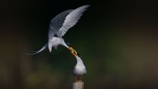 ������������б�� ���ۺ�๽������� ���Ż�