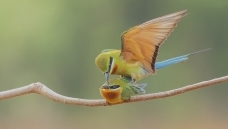 �����仢�İ������