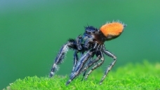 ��һ���ҵĺ��