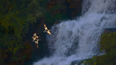 ���ٶ���