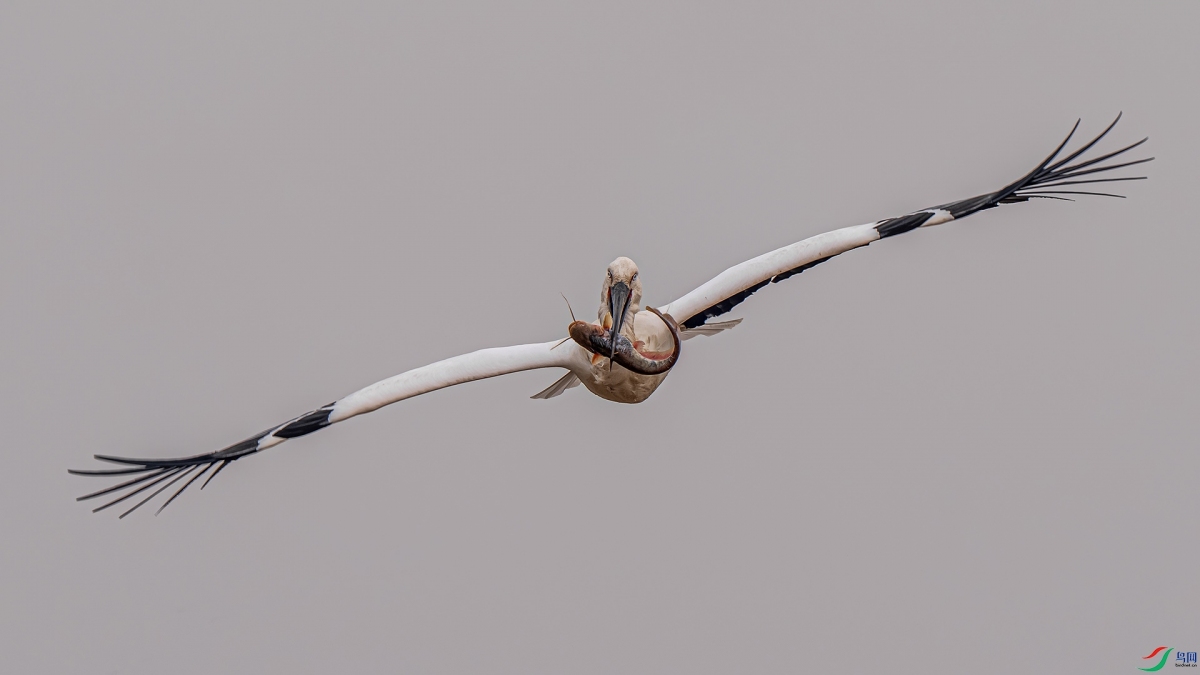 ץ��һ������