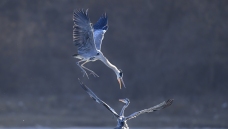 ����:����