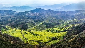 ��Դ����