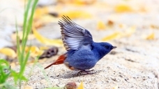 ��βˮ�