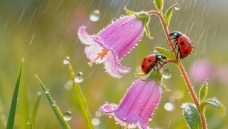 �����е�����