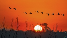 ���ն��� ��찿��