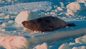 �ϼ�һ�� ������̬