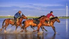 ����������ǳ��