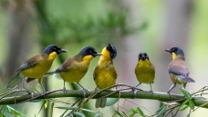 �������