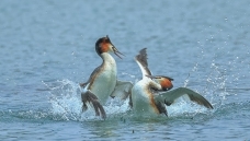 �������