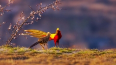 Ϧ���µ�����