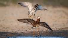 ������----����