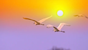 �Ž������