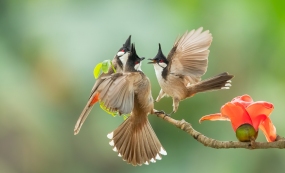 ����ǣ�����̤�Ϲ���֮·