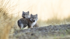 �ݵ��ϵ����� ���غ���