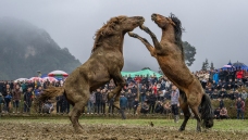 ��ˮ����--Ϊ����ս