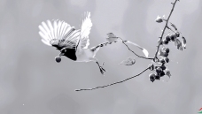 ������ȵ