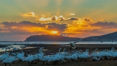 ������ɫ  ����̤��