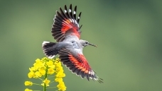 �봺����������