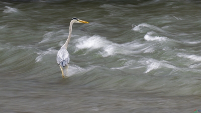 ����ˮ���飨���������