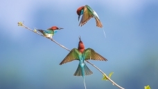 ��������