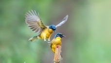 �������