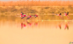 �´����κ�����