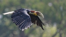 ����һ���ص㱣��������������Ϭ��