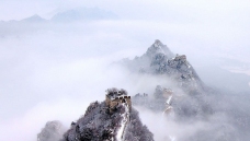 ѩ�м��۸����