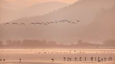 �����ء�