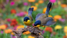 �������