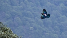 �������β����