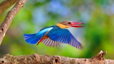 �������