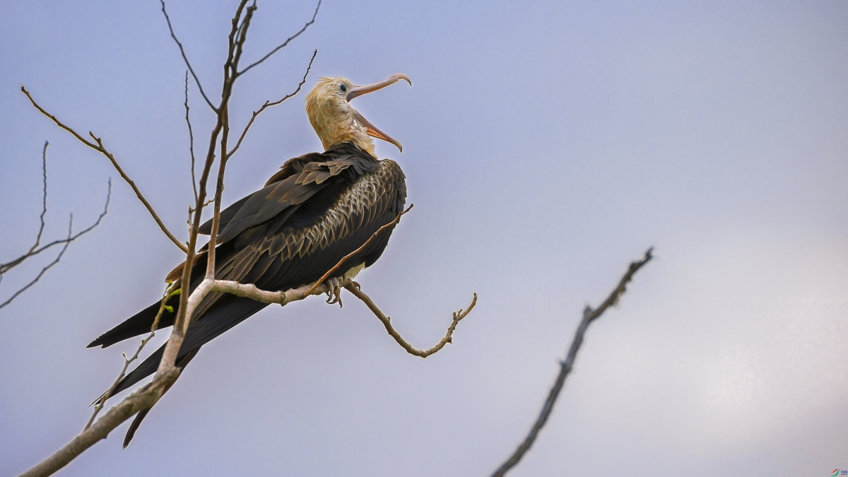 �׸�������-�״����Ϻ����֣����й��Ϻ���