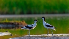 �������