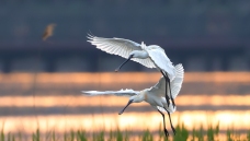 �������