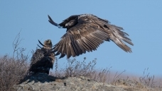 ��أ�����Ͻ��