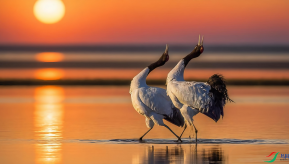 ��ԭ����AI