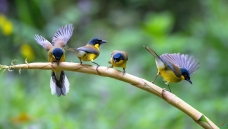 ��������