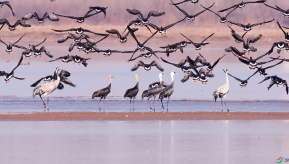 �ƺ�ʪ�ذ�ͷ��