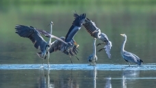 �������Χ��