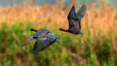 ϡ�ʹ򿨣����q�״��������¶���ʪ��