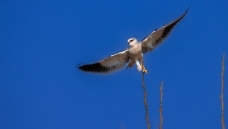 �Ӹ�����