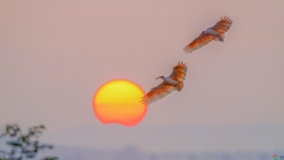 ���qӳ�գ���Ⱦϼ��