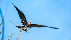 �׸�������