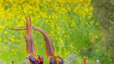 �������������