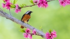 ����ͬ��