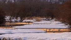 �����׵ļ�԰