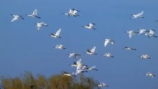 ��Ǩ������