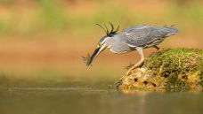 �����ʵ�